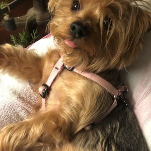 Meet your Posher, Julia